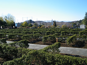 京の区　風景