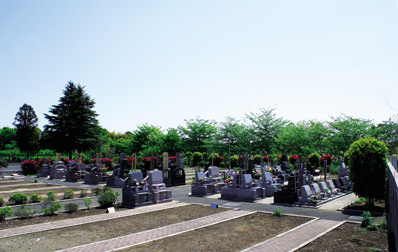 東陽の杜